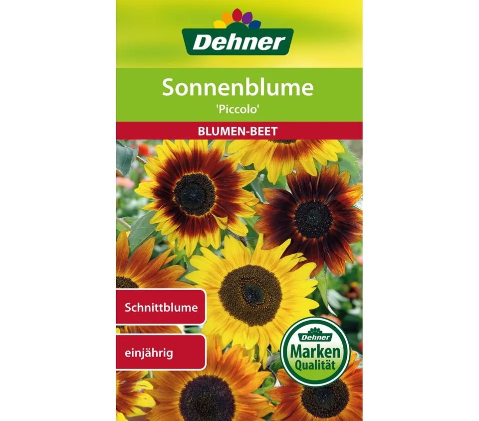 dehner-sonnenblume-piccolo-blumensamen-5x3g-einj-hrig image 1