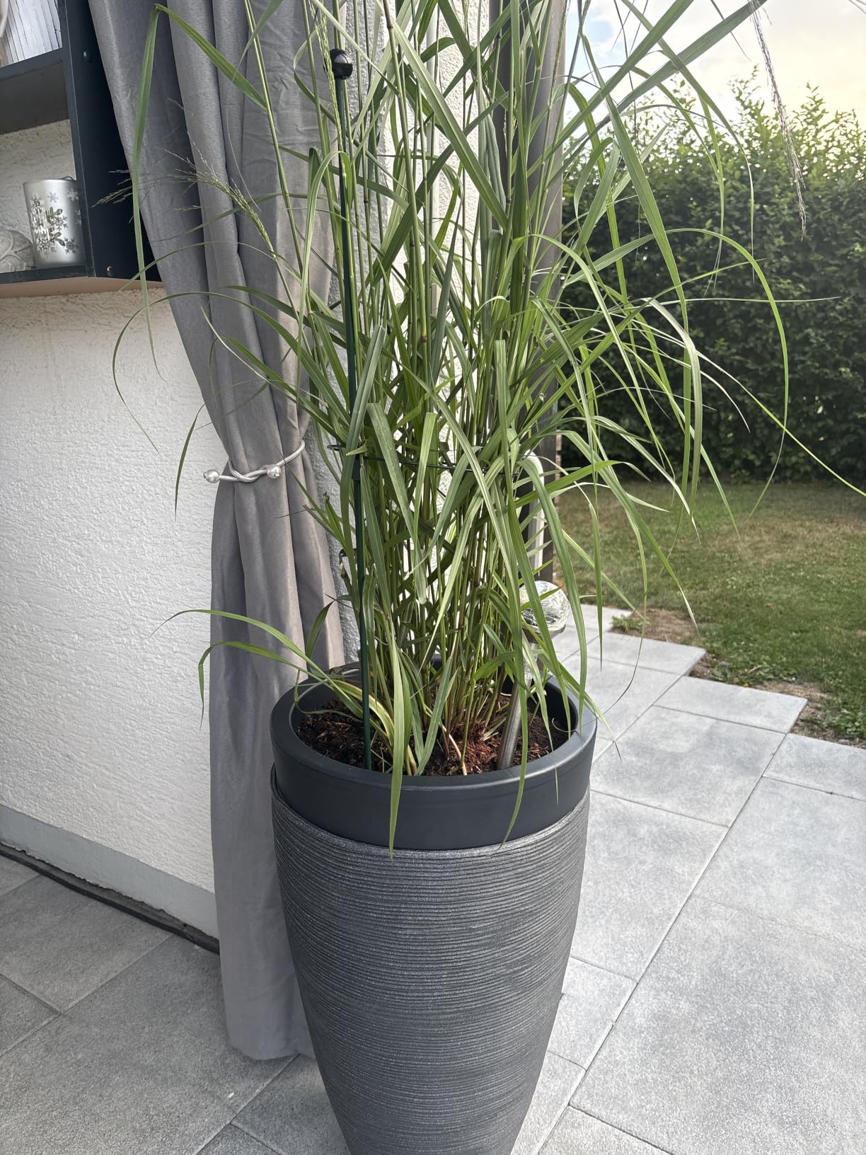 Hohe Vase