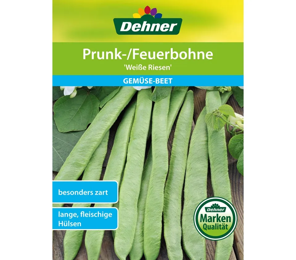 dehner-feuerbohne-wei-e-riesen-samen-4er-pack-zart image 1