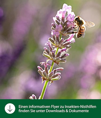 dehner-natura-hummel-nistkasten-tannenholz-38x34x28-cm image 6