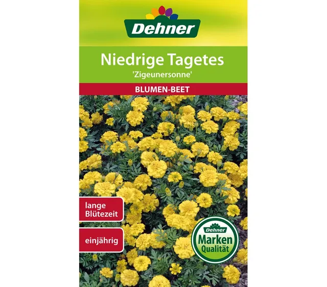 dehner-niedrige-tagetes-zigeunersonne-blumensamen-5er-pack-gelb image 1