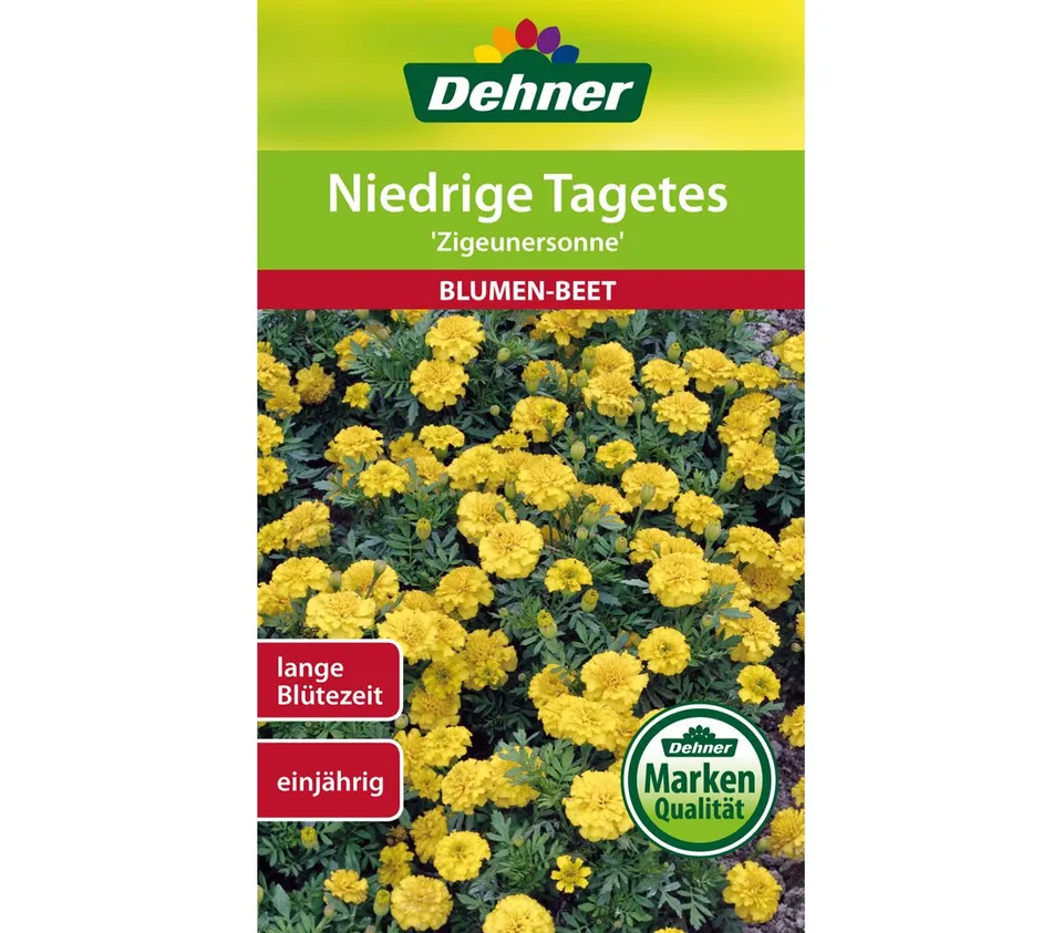 dehner-niedrige-tagetes-zigeunersonne-blumensamen-5er-pack-gelb image 1