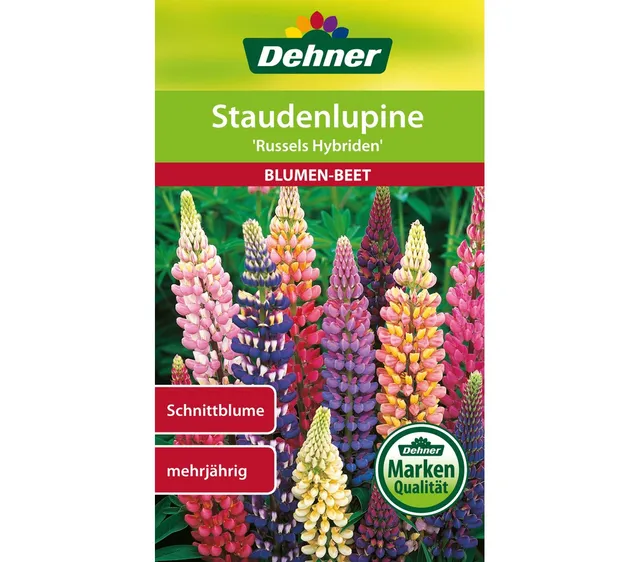 dehner-staudenlupine-russels-hybriden-blumensamen-5er-pack image 1