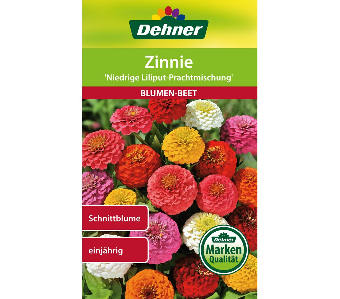 dehner-niedrige-liliput-zinnie-blumensamen-5x2g-einj-hrig image 1
