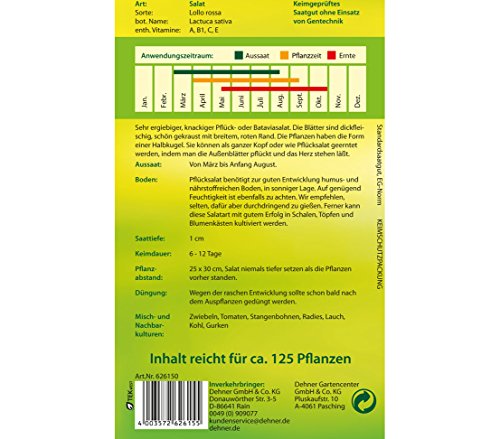 dehner-pfl-cksalat-lollo-rossa-saatgut-5x2g-gekraust image 4