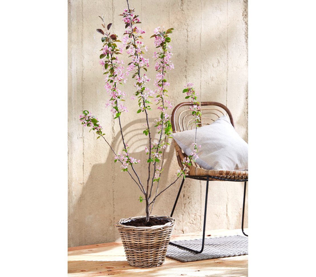 dehner-rattan-pflanztopf-29x29x20-cm-grau-braun image 5