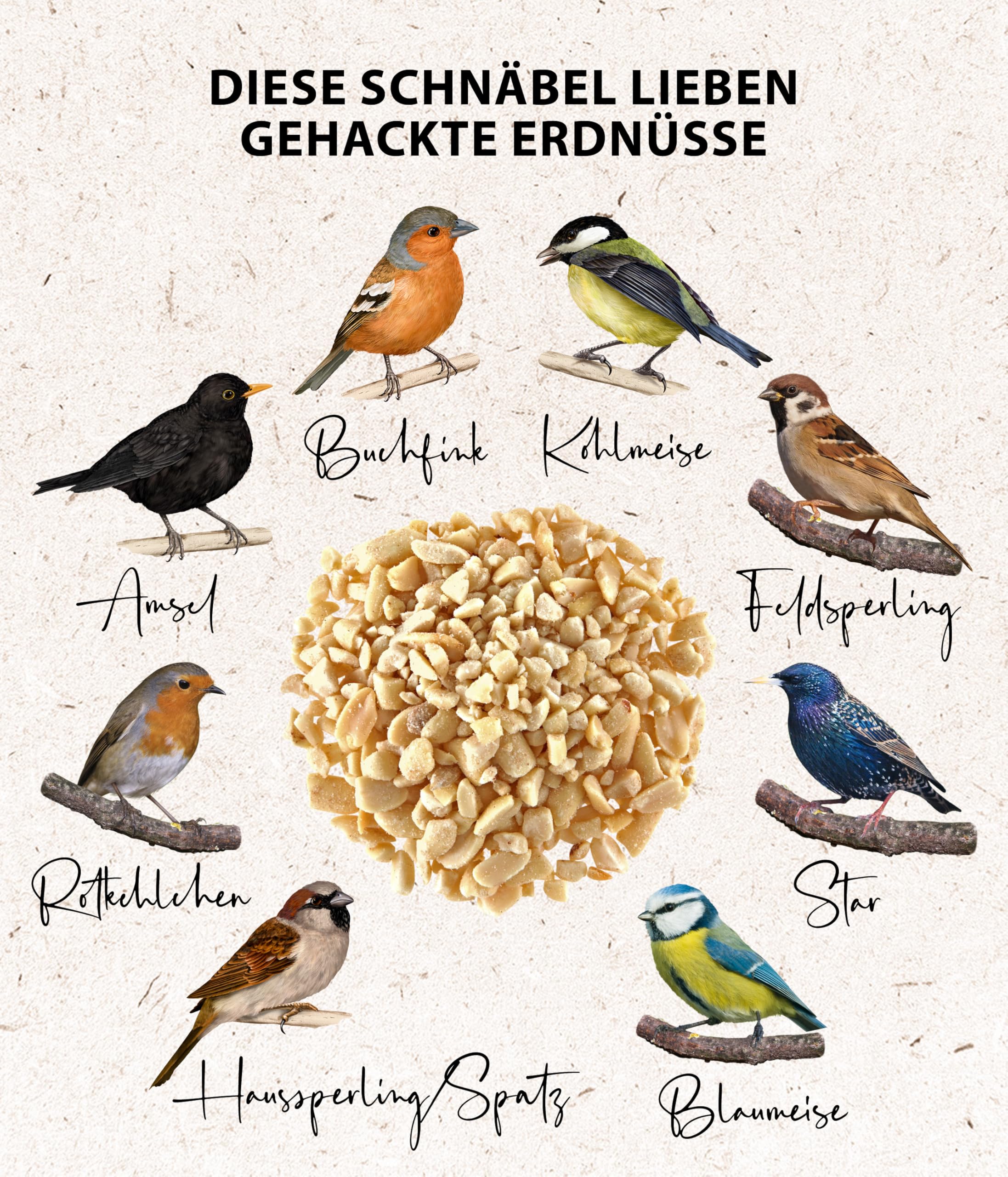 dehner-natura-premium-wildvogelfutter-erdn-sse-3-4-kg image 3