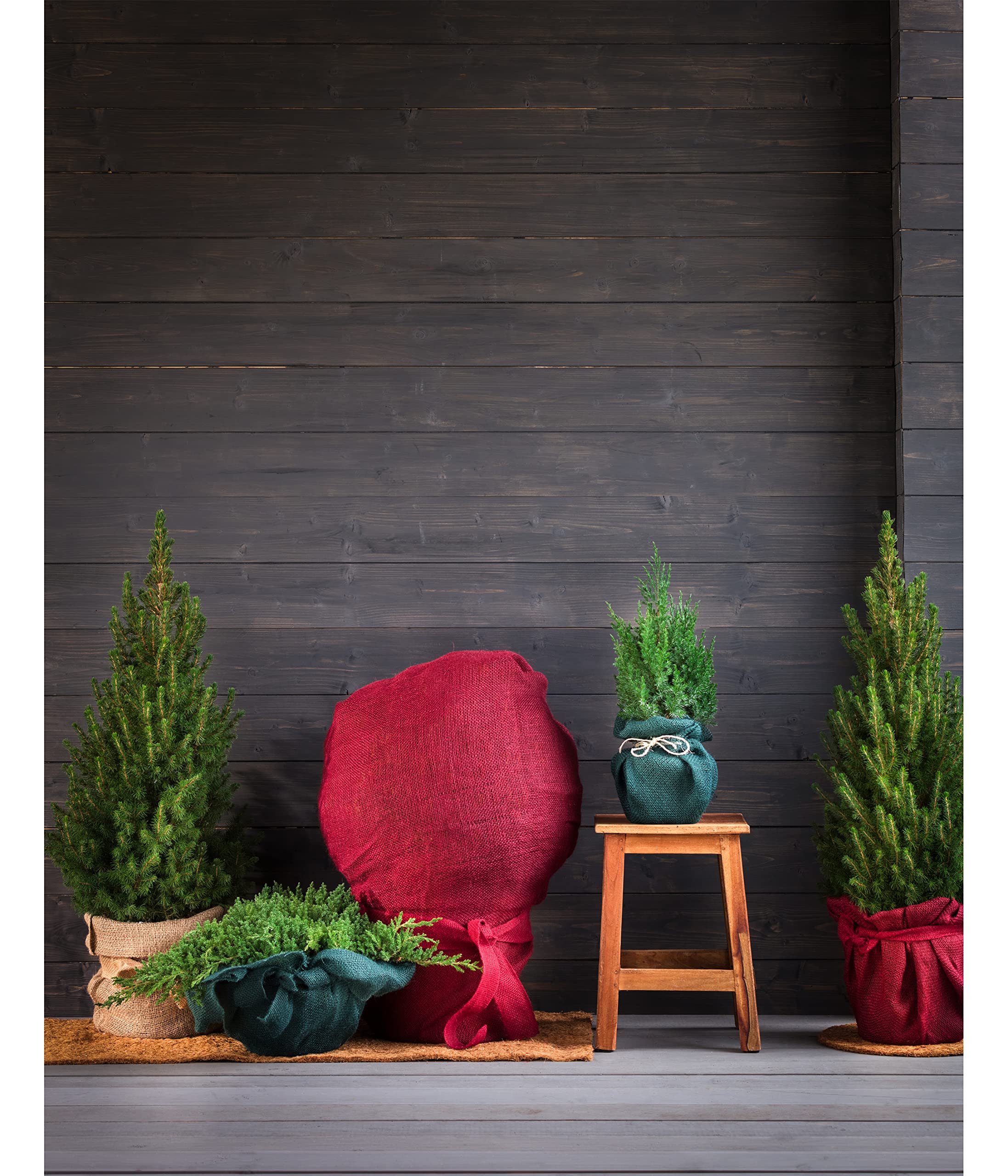 dehner-winterschutz-matte-kokosmatte-150x50-cm-braun image 4