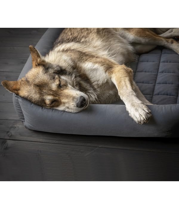 dehner-wild-nature-nest-hundebett-katzenbett-80x60-dunkelgrau image 3