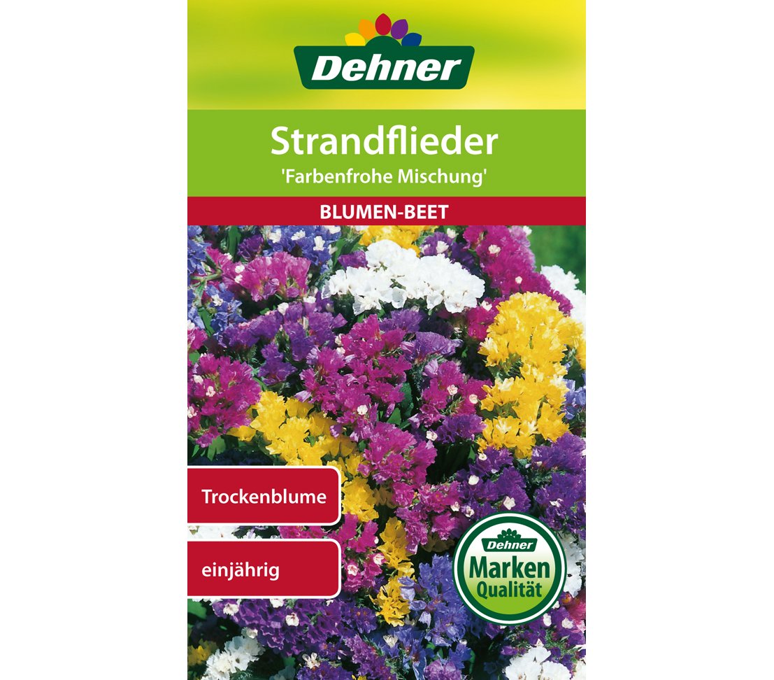 dehner-strandflieder-mischung-blumensamen-5er-pack image 1