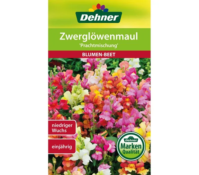 dehner-zwergl-wenmaul-prachtmischung-samen-5x0-6-g image 1
