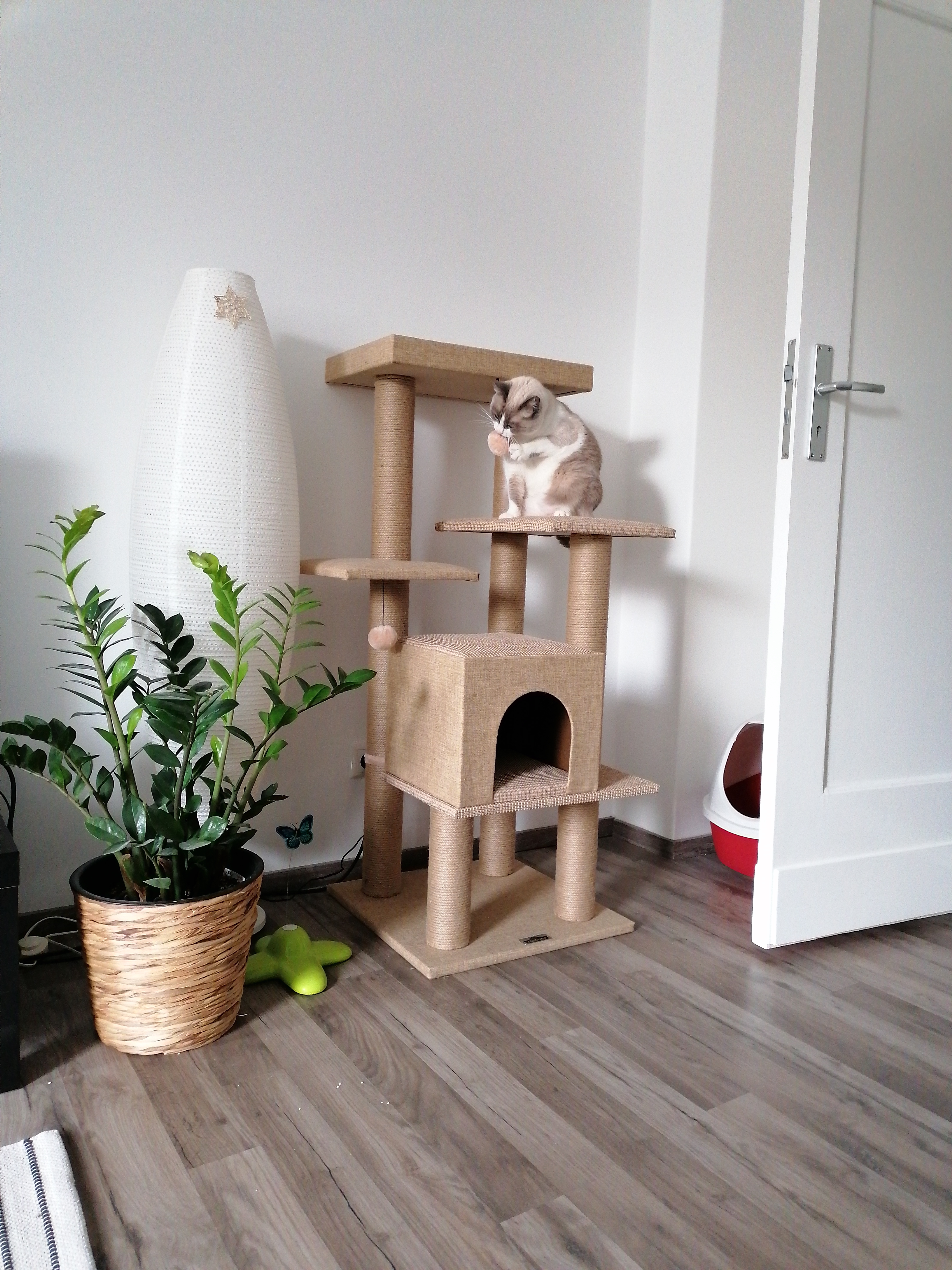 Jute hält