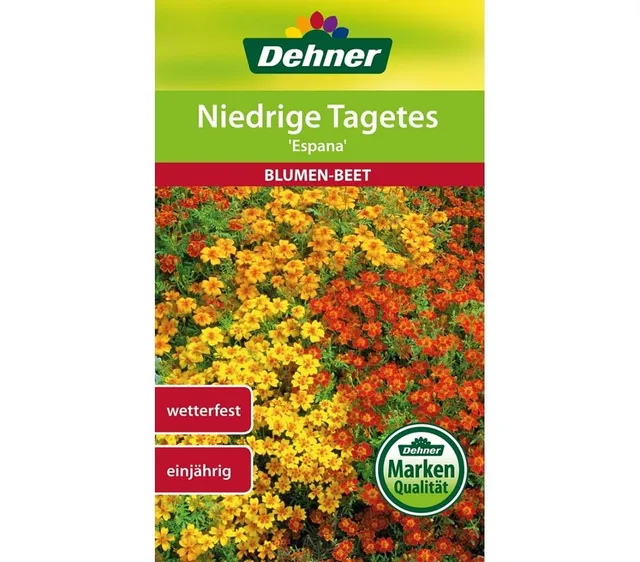 dehner-blumensamen-tagetes-espana-5er-pack-einj-hrig image 1