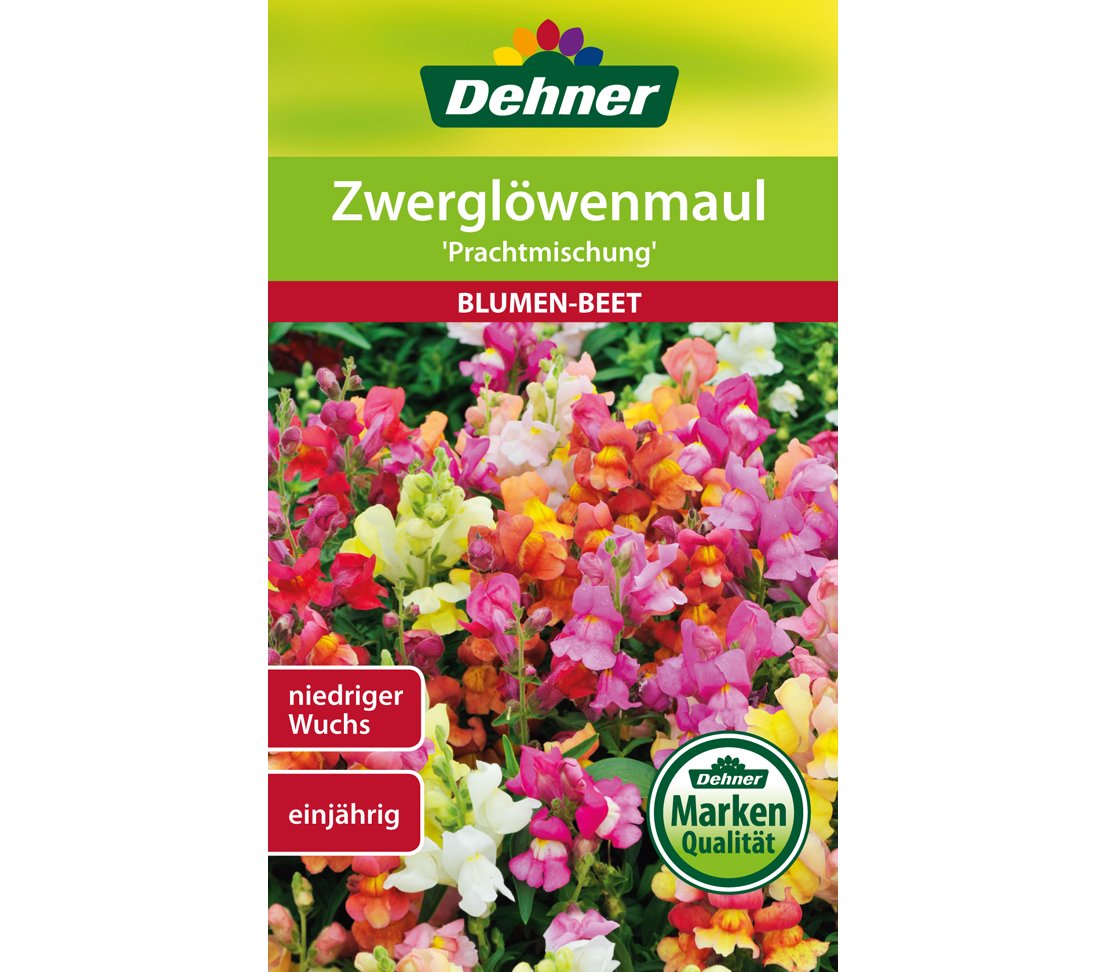 dehner-zwergl-wenmaul-prachtmischung-samen-5x0-6-g image 1