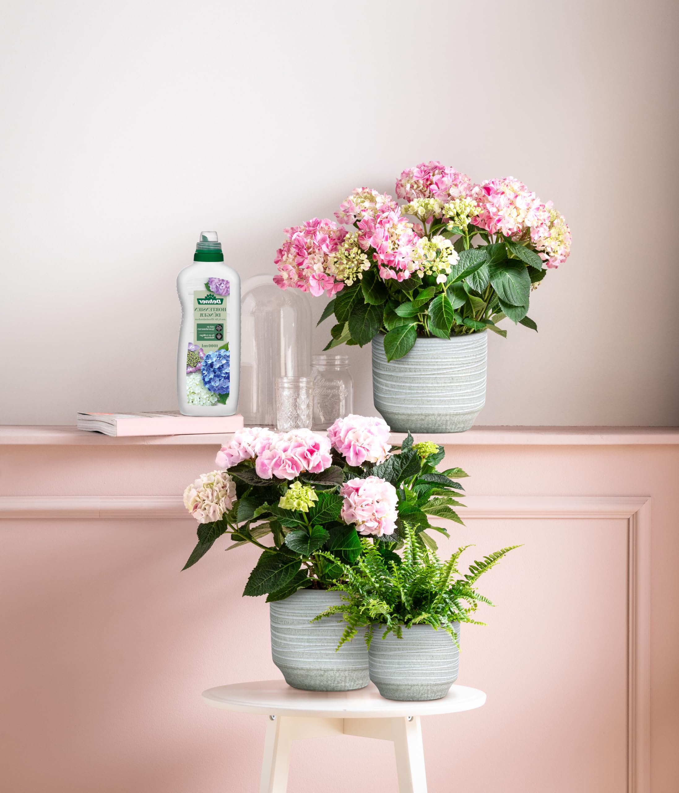 dehner-hortensien-rhododendrond-nger-fl-ssig-1-l-npk image 4
