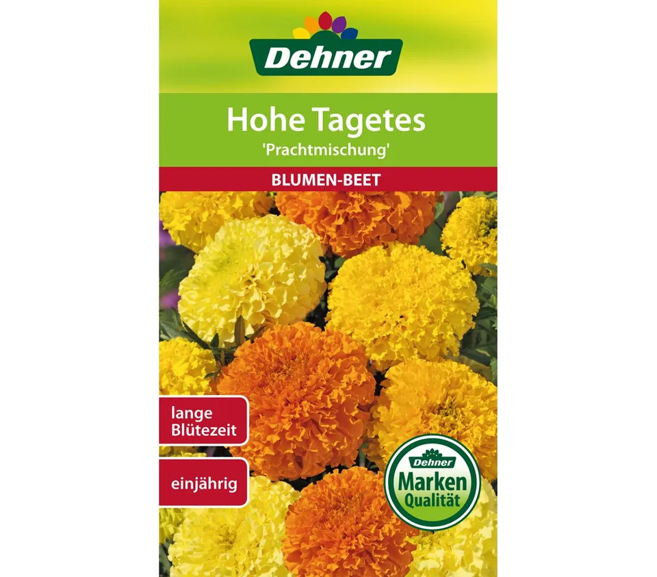 dehner-blumen-saatgut-hohe-tagetes-prachtmischung-5x1-3g image 1