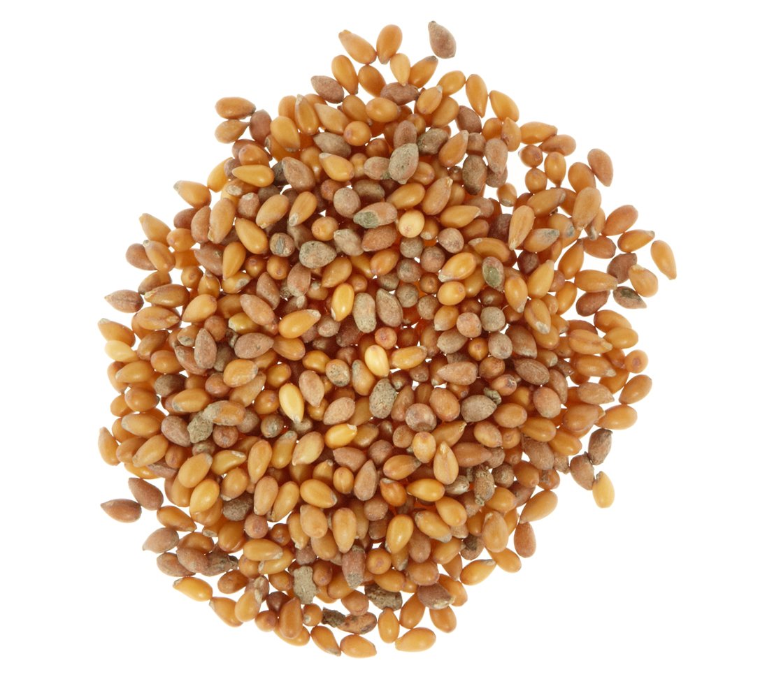 dehner-hornveilchen-johnny-jump-up-blumensamen-5x2g-mehrj-hrig image 3