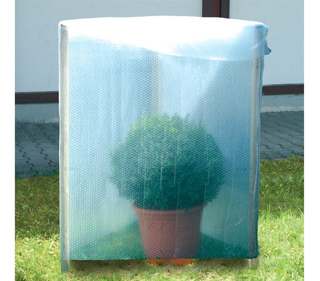 dehner-isolierfolie-transparent-100x500-cm-frostschutz image 3