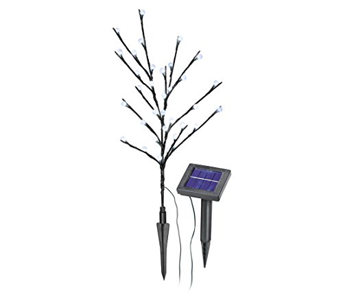 dehner-living-solar-bl-tenstrauch-60-cm-36-led image 3