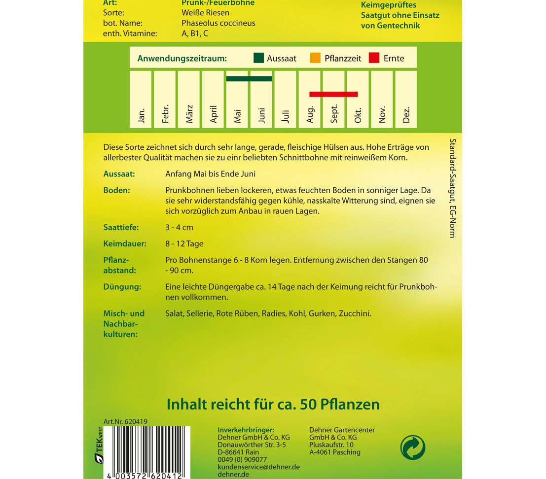 dehner-feuerbohne-wei-e-riesen-samen-4er-pack-zart image 2