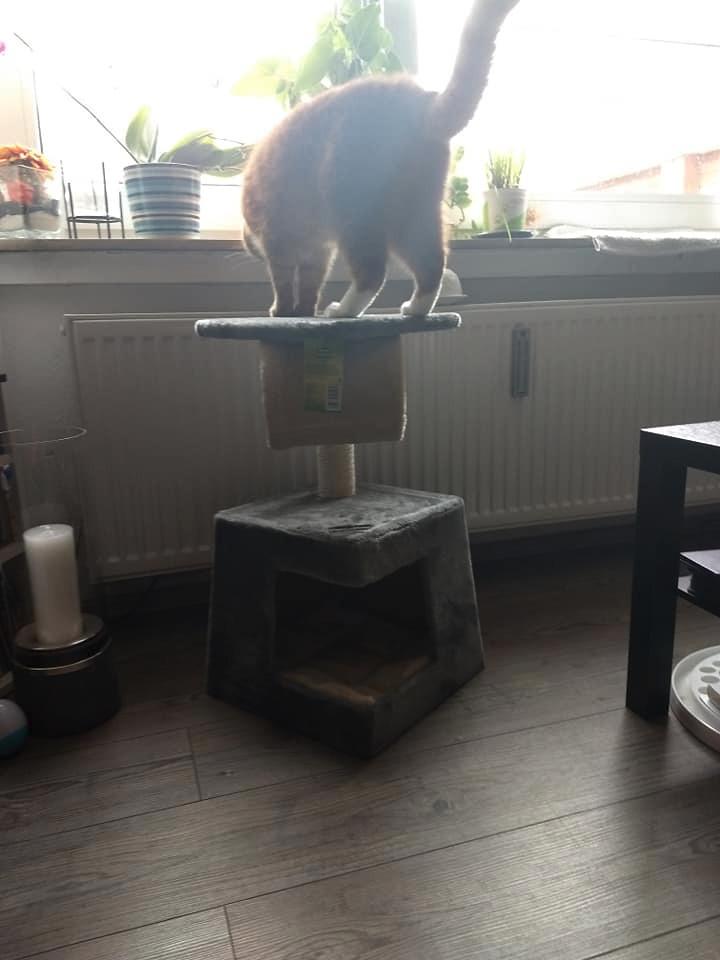 Passt in die Ecke