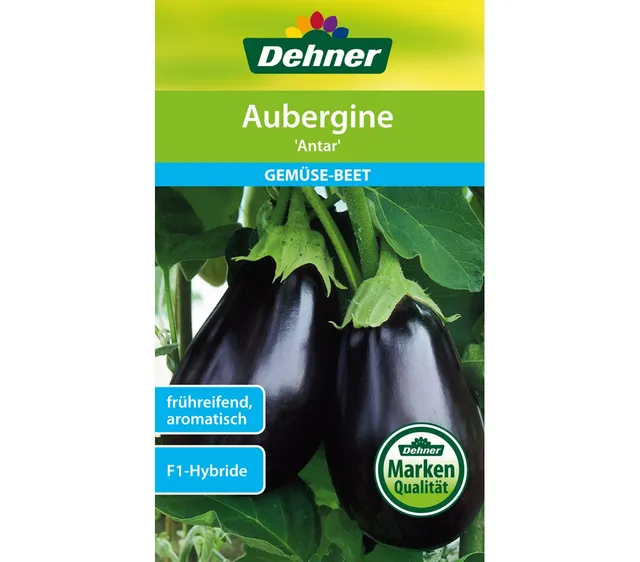 dehner-aubergine-antar-f1-saatgut-1-g-aromatisch image 1