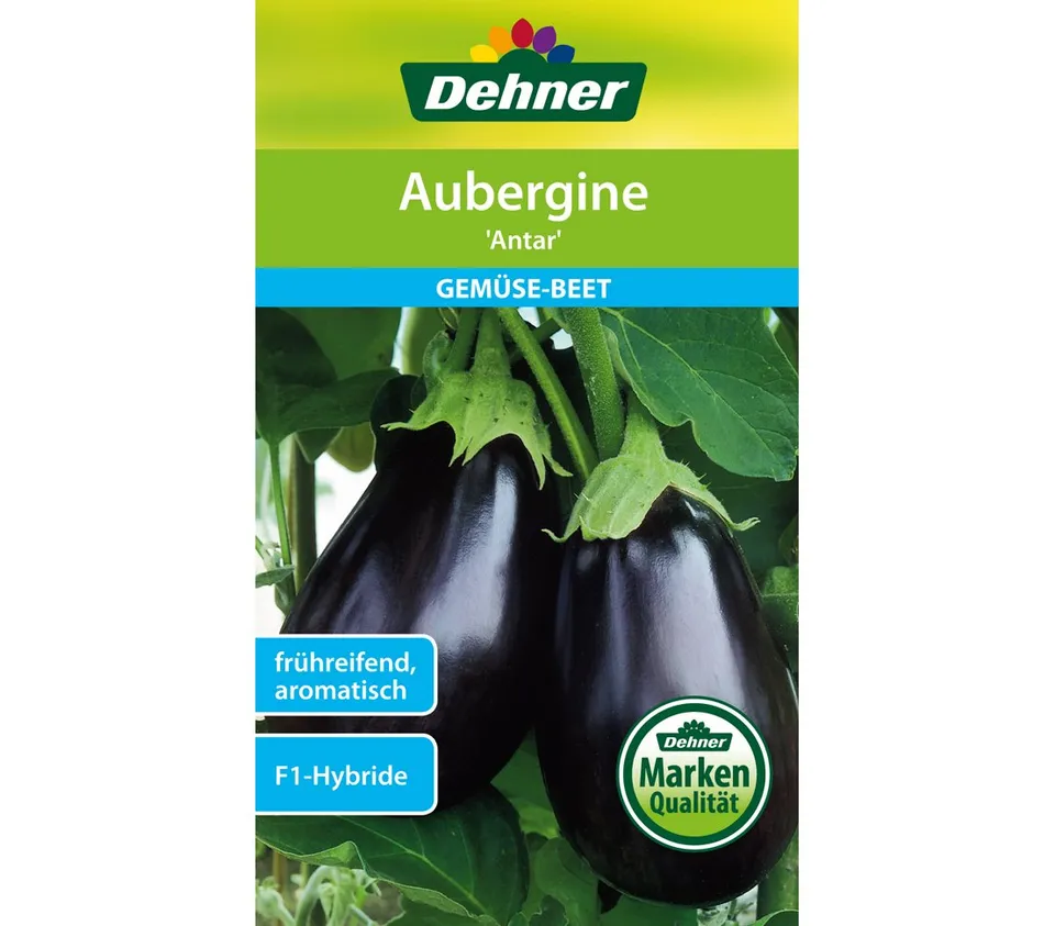 dehner-aubergine-antar-f1-saatgut-1-g-aromatisch image 1