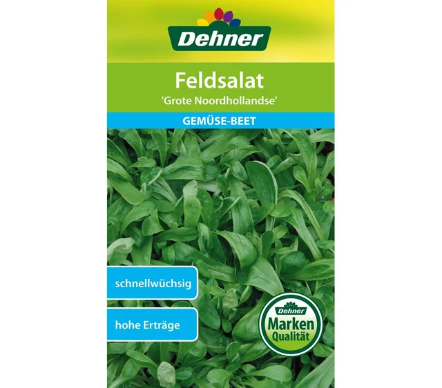 dehner-gem-se-saatgut-feldsalat-grote-noordhollandse-5x10-g image 1