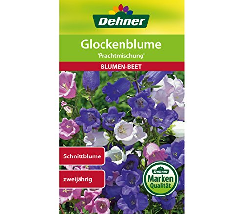 dehner-prachtmischung-glockenblume-blumensamen-5x1g image 4