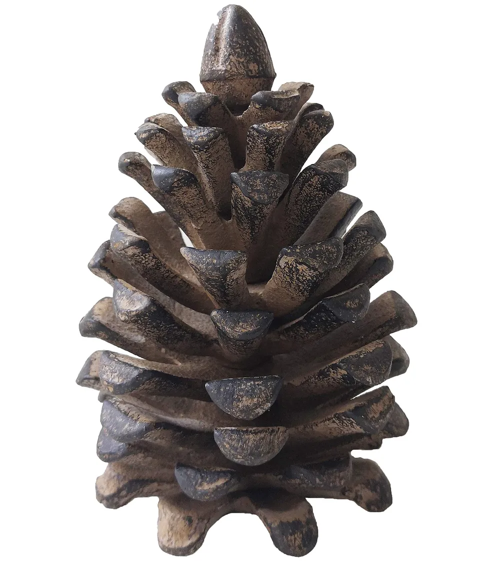 dehner-tannenzapfen-dekofigur-gusseisen-braun-13-cm image 1
