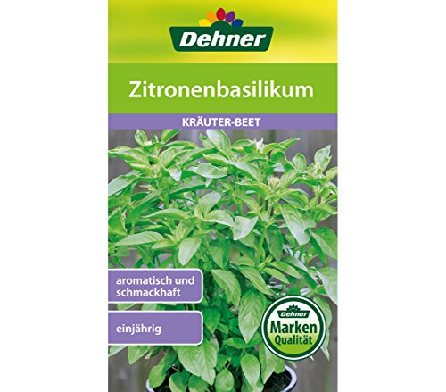 dehner-zitronenbasilikum-saatgut-5x3-g-aromatisch image 3