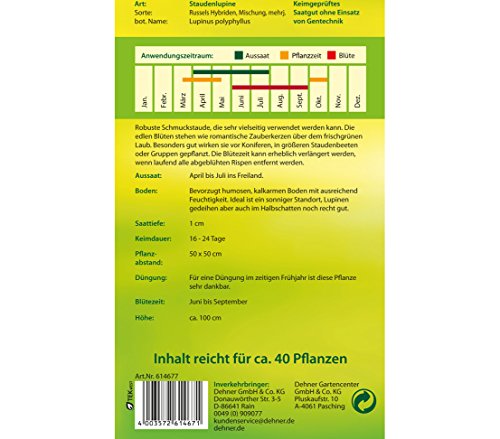 dehner-staudenlupine-russels-hybriden-blumensamen-5er-pack image 4