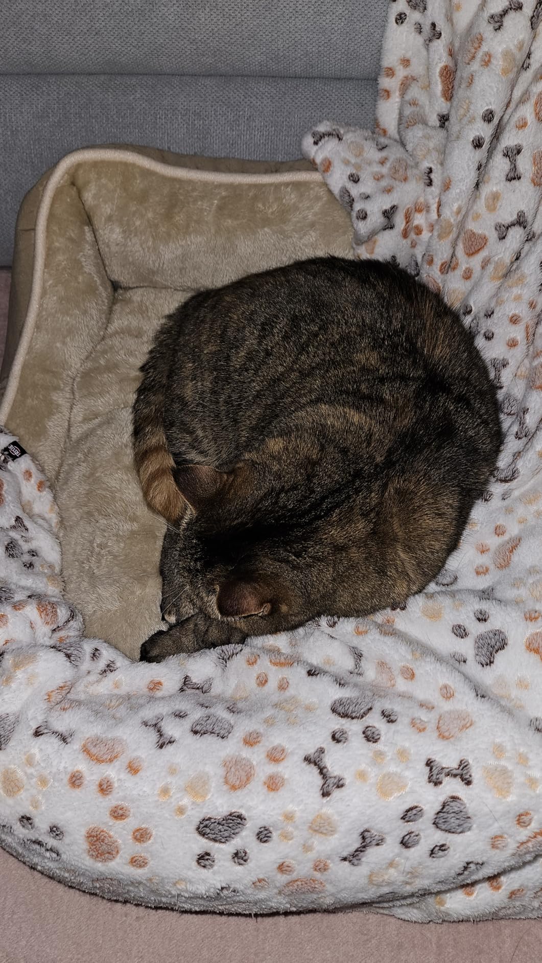 Gut gewaschen