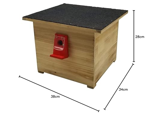 dehner-natura-hummel-nistkasten-tannenholz-38x34x28-cm image 8