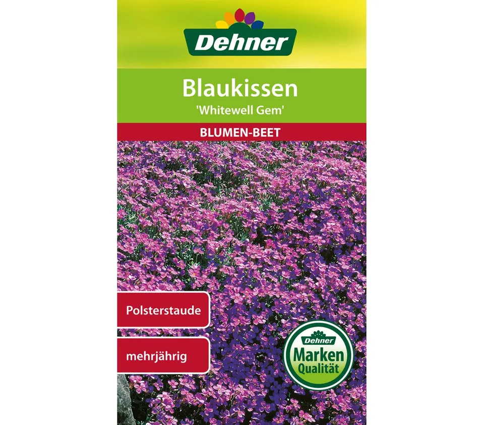 dehner-blaukissen-whitewell-gem-saatgut-5er-pack image 1