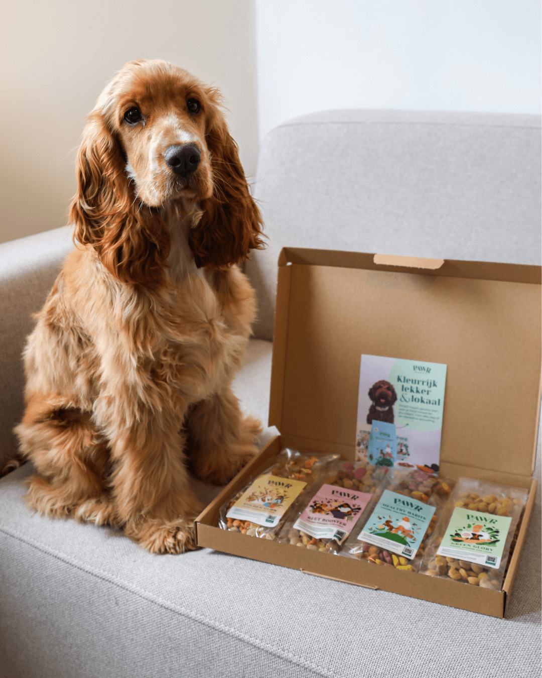 pawr-proefpakket-powerbowls-hundefutter-hypoallergen-4-sorten image 3