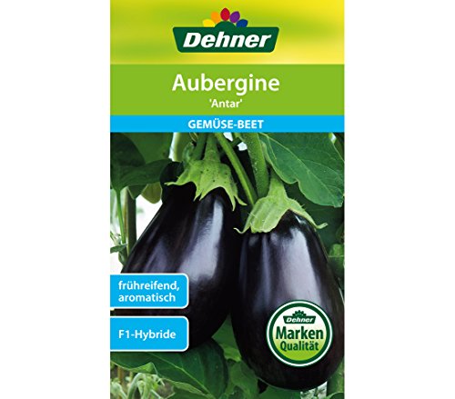 dehner-aubergine-antar-f1-saatgut-1-g-aromatisch image 3