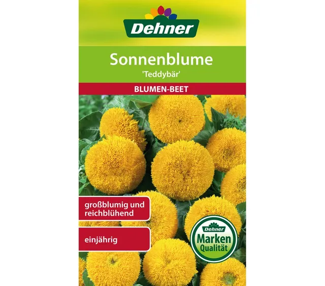 dehner-sonnenblume-teddyb-r-blumensamen-5x4-g-zwergsorte image 1