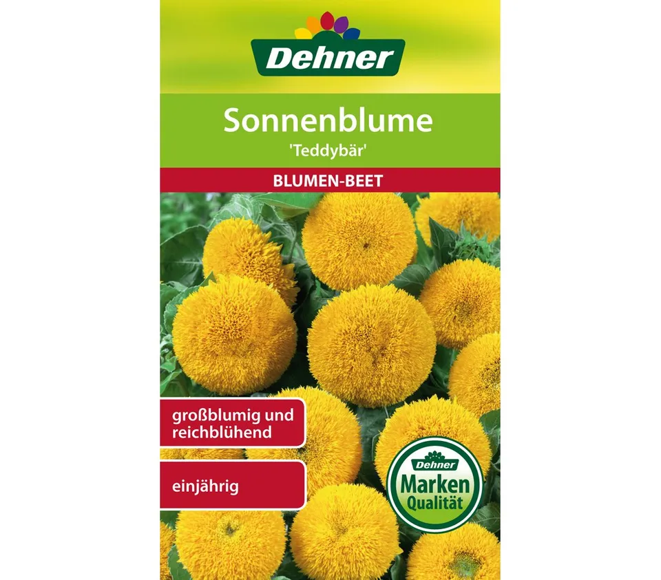 dehner-sonnenblume-teddyb-r-blumensamen-5x4-g-zwergsorte image 1