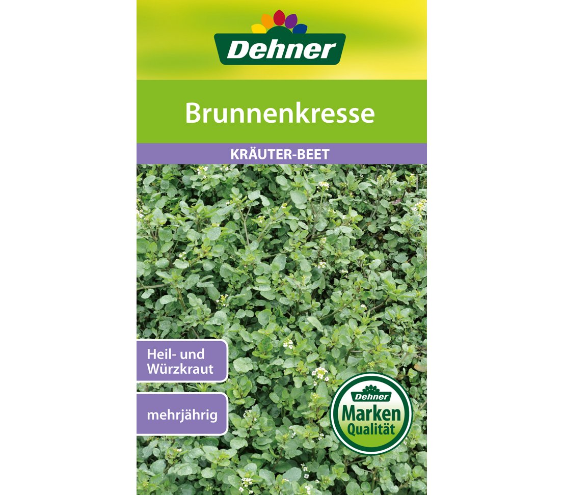 dehner-rosmarin-saatgut-5er-pack-mehrj-hrig-30-pflanzen image 3