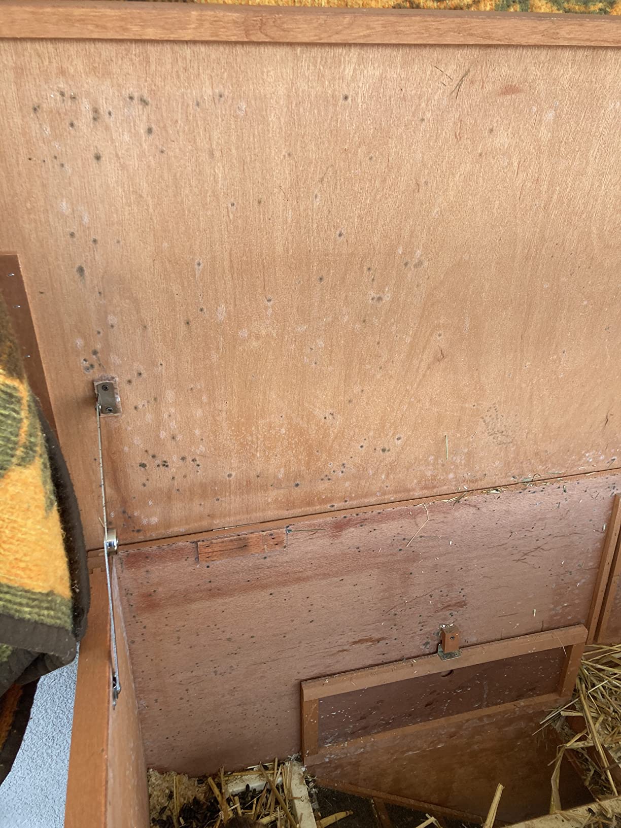 Holz splittert
