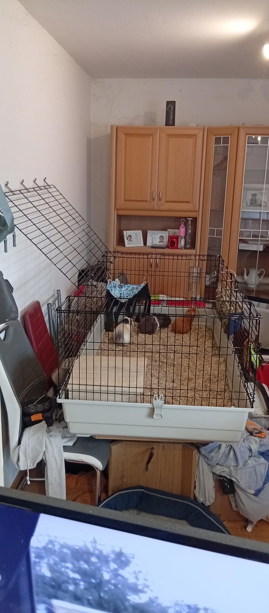 Viel Platz