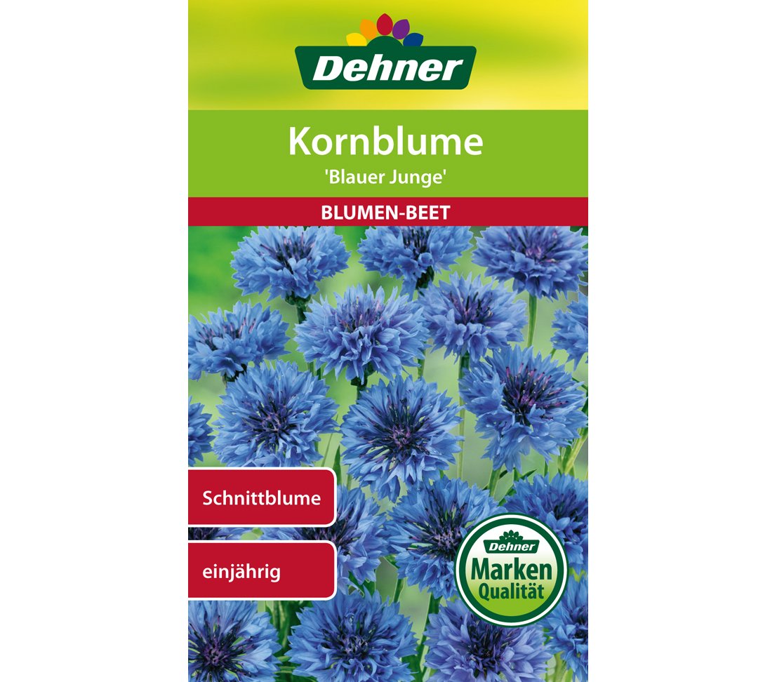 dehner-kornblume-blauer-junge-blumensamen-5er-pack image 1