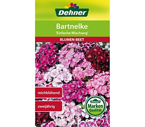 dehner-bartnelke-einfache-mischung-blumensamen-5x1-3-g image 3