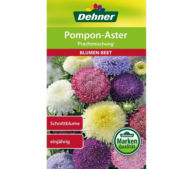 dehner-pompon-aster-prachtmischung-blumensamen-5er-pack-schnittblume image 1