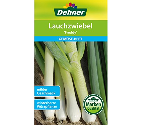 dehner-lauchzwiebel-freddy-samen-5x3g-winterhart image 3