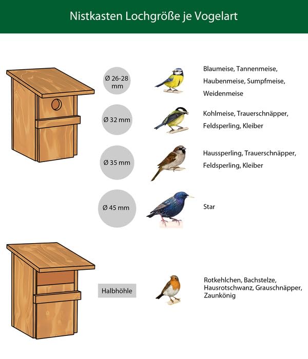 dehner-natura-premium-nistkasten-smilla-natur-32-mm-holz image 4