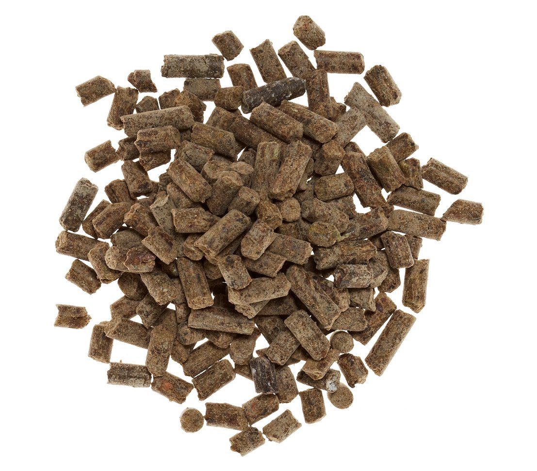 dehner-bio-rhododendrond-nger-1-kg-f-r-moorbeetpflanzen image 2