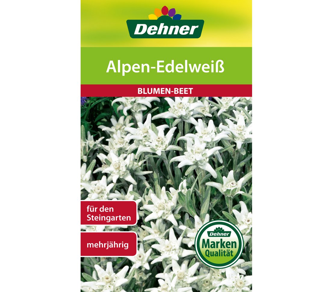 dehner-alpen-edelwei-blumensamen-5er-pack-mehrj-hrig image 1