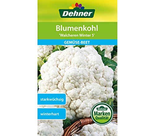 dehner-blumenkohl-walcheren-winter-5-saatgut-5er-pack image 3